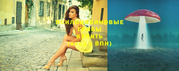 круглые Бородино